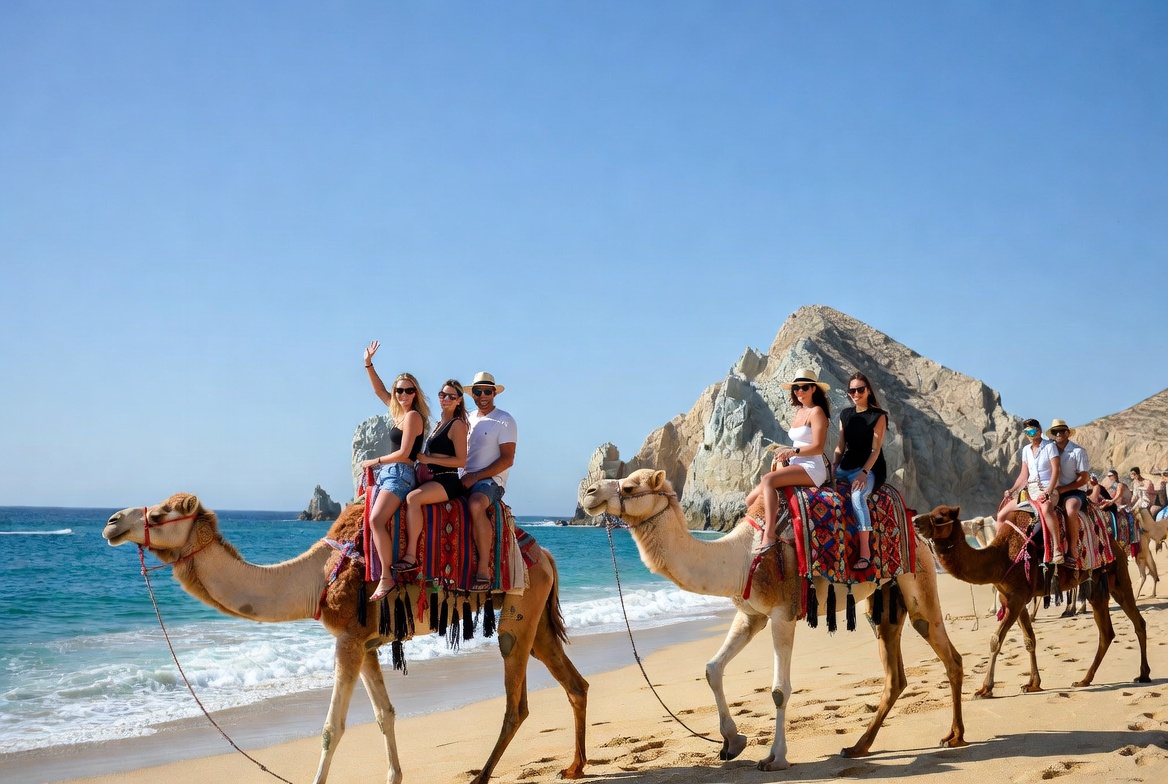 Cabo camel rides by the ocean